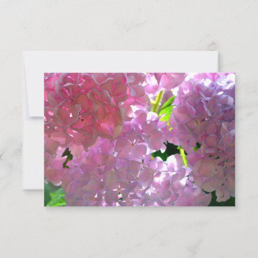 Elegante rosa Boho Blumen Blume Hydrangeas UAWG Save The Date (Rückseite)