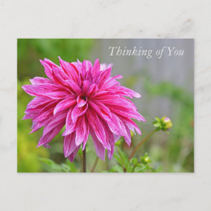 Elegante Rosa Dahlia Garden Blume Denken Sie an Si Feiertagspostkarte