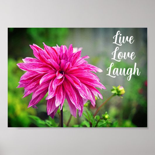 Elegante Rosa Dahlia Garden Blume Motivierend Poster (Vorne)