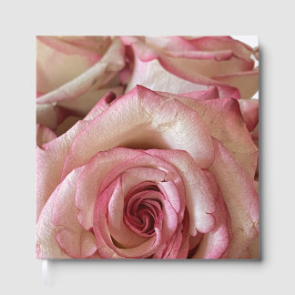Elegante rosa gespitzte weiße Rosenfolie-Gästebuch Gästebuch