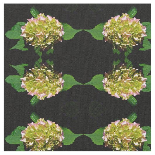 Elegante, rosa Hydrangea-Blume Stoff (Nahaufnahme)