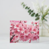 Elegante rosa Kirschblossom-Blume Postkarte (Stehend Vorderseite)