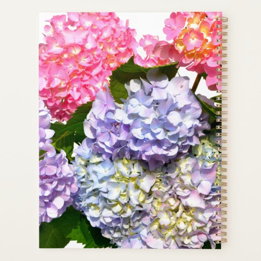 Elegante, rosa, lila-blaue Blütenblätter Hydrangea Planer (Rückseite)