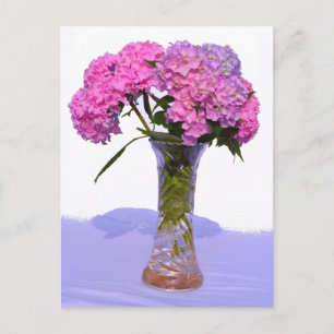 Elegante, rosa, lila Blumendörfchen Hydrangeas Postkarte
