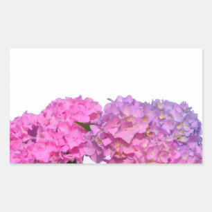 Elegante, rosa, lila Blumendörfchen Hydrangeas Rechteckiger Aufkleber