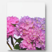 Elegante, rosa, lila, blumenreiche Hydrangeas Fotoplatte (Vorderseite)