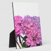 Elegante, rosa, lila, blumenreiche Hydrangeas Fotoplatte (Seite)