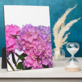 Elegante, rosa, lila, blumenreiche Hydrangeas Fotoplatte (Seite)