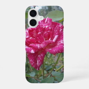 Elegante rosa mit rosa-weißen Streifen,  iPhone 16 Hülle