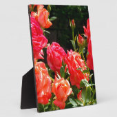 Elegante, rosa, orangefarbene Rose Fotoplatte (Seite)