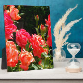 Elegante, rosa, orangefarbene Rose Fotoplatte (Seite)