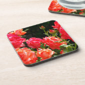 Elegante, rosa, orangefarbene Rose Getränkeuntersetzer (Linke Seite)