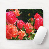 Elegante, rosa, orangefarbene Rose Mousepad (Mit Mouse)