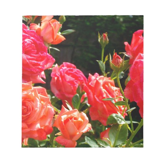 Elegante, rosa, orangefarbene Rose Notizblock (Vorderseite)