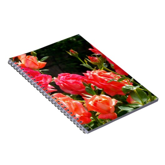 Elegante, rosa, orangefarbene Rose Notizblock (Rechte Seite)