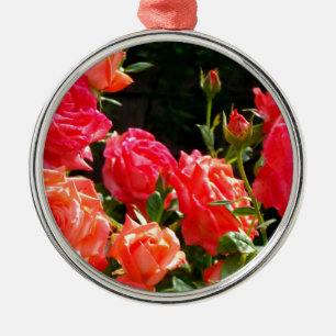 Elegante, rosa, orangefarbene Rose Silbernes Ornament