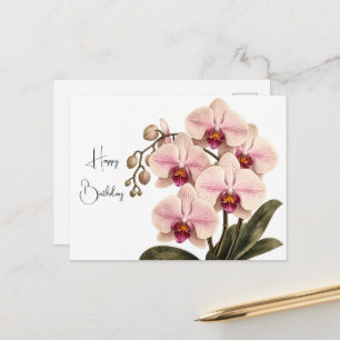 Elegante rosa Orchideen-Geburtstagskarte Postkarte