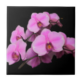 Elegante rosa Orchids Phalaenopsis auf schwarz Fliese (Vorderseite)