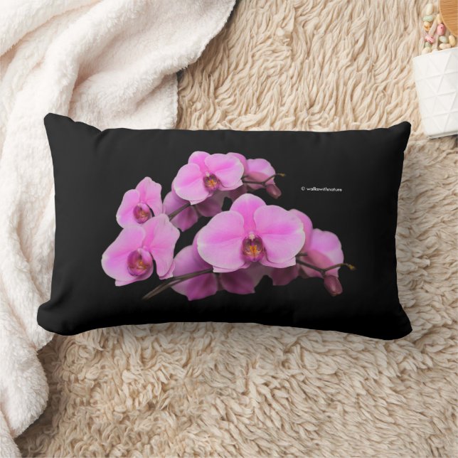 Elegante rosa Orchids Phalaenopsis auf schwarz Lendenkissen (Decke)