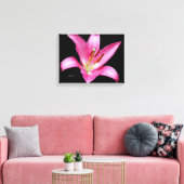 Elegante Rosa Orientalische Lily Lilium Stargazer Leinwanddruck (Insitu (Wohnzimmer))