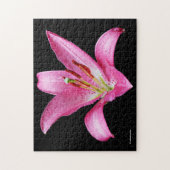 Elegante Rosa Orientalische Lily Lilium Stargazer Puzzle (Vertikal)