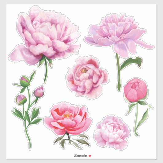 Elegante rosa Pfingstrose  Aufkleber (Blatt)