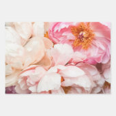 Elegante Rosa-, Pfirsich- und Cremepione Geschenkpapier Set (Vorderseite)