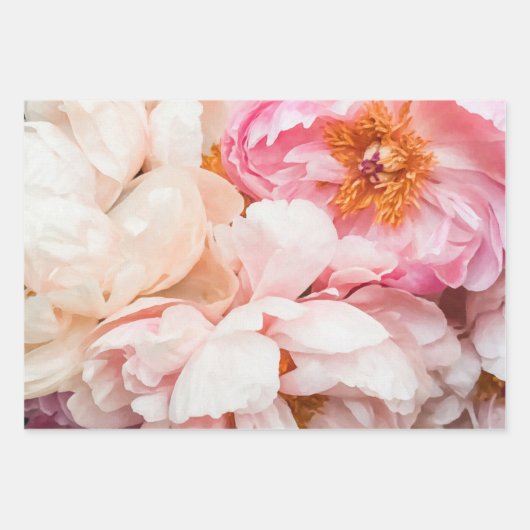 Elegante Rosa-, Pfirsich- und Cremepione Geschenkpapier Set (Vorderseite)