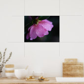 Elegante Rosa Rose Nah mit Taub Poster (Küche)