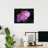 Elegante Rosa Rose Nah mit Taub Poster (Heimbüro)