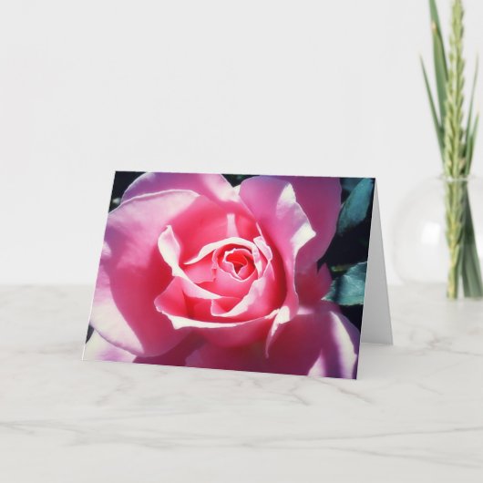 Elegante rosa Rosenvalentine-Karte Feiertagskarte (Vorderseite)