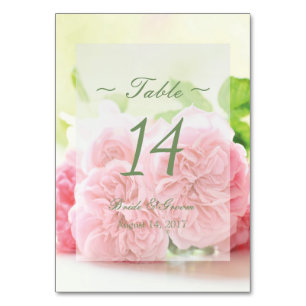 Elegante Rosa Sommer-Rose Hochzeit Tischnummer