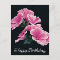 Elegante rosa Stockrosen-Malve Malvenblüte