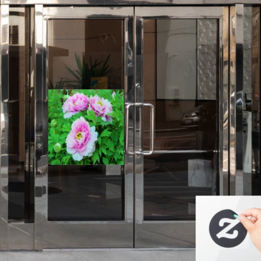 Elegante Rosa Tree Peony Blume mit Gelbzentrum Fensteraufkleber (Büro Tür)