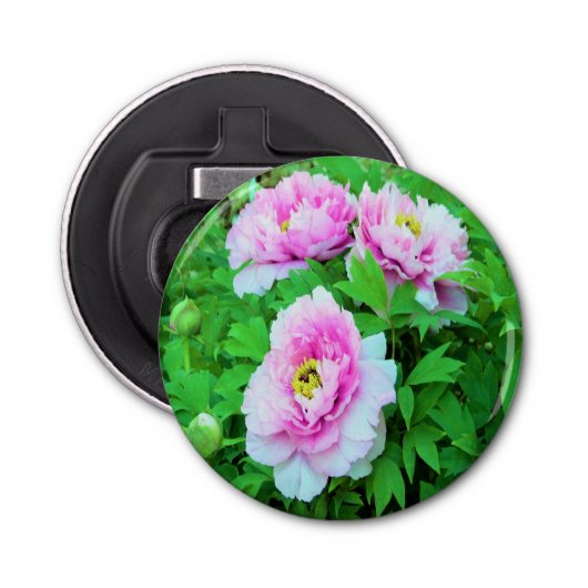 Elegante Rosa Tree Peony Blume mit Gelbzentrum Flaschenöffner (Vorderseite)