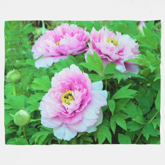 Elegante Rosa Tree Peony Blume mit Gelbzentrum Fleecedecke (Vorderseite (Horizontal))