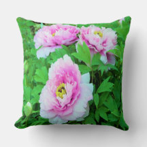 Elegante Rosa Tree Peony Blume mit Gelbzentrum