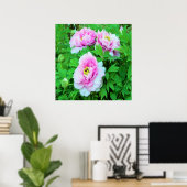 Elegante Rosa Tree Peony Blume mit Gelbzentrum Poster (Heimbüro)