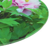 Elegante Rosa Tree Peony Blume mit Gelbzentrum Schneidebrett (Ecke)