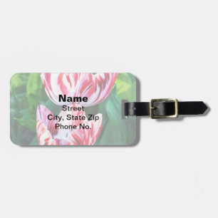 Elegante rosa und weiß gestreifte Tulpen Gepäckanhänger