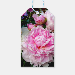Elegante rosa weiße florale Blumen Pfingstrosen Geschenkanhänger
