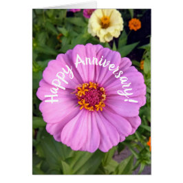 Elegante Rosa Zinnia Blume Jubiläumskarte