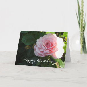 Elegante rosa zum Geburtstag Karte