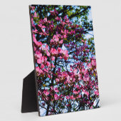 Elegante rosafarbene Blüten, geblümt durch Hundsho Fotoplatte (Seite)