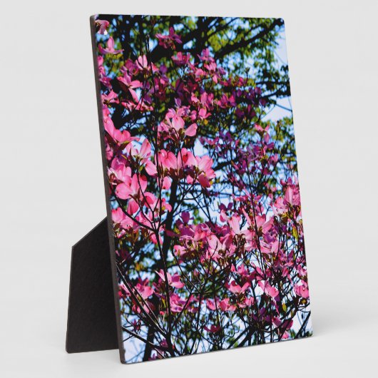 Elegante rosafarbene Blüten, geblümt durch Hundsho Fotoplatte (Seite)