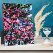 Elegante rosafarbene Blüten, geblümt durch Hundsho Fotoplatte (Seite)