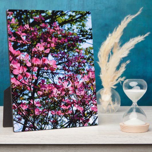 Elegante rosafarbene Blüten, geblümt durch Hundsho Fotoplatte (Seite)