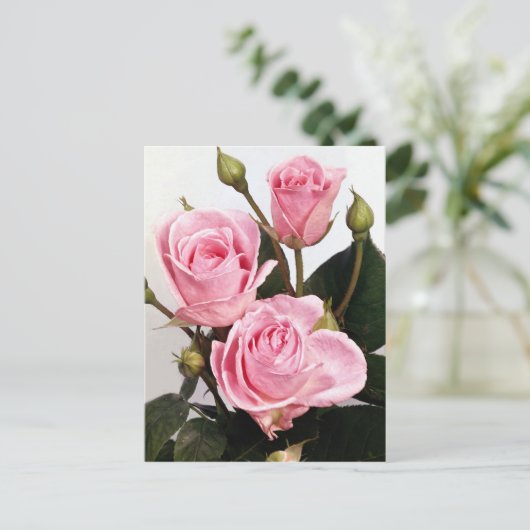 Elegante Rose 2 Postkarte (Stehend Vorderseite)