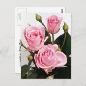 Elegante Rose 2 Postkarte (Vorne/Hinten)