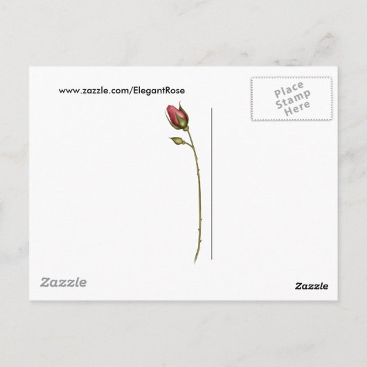 Elegante Rose 2 Postkarte (Rückseite)